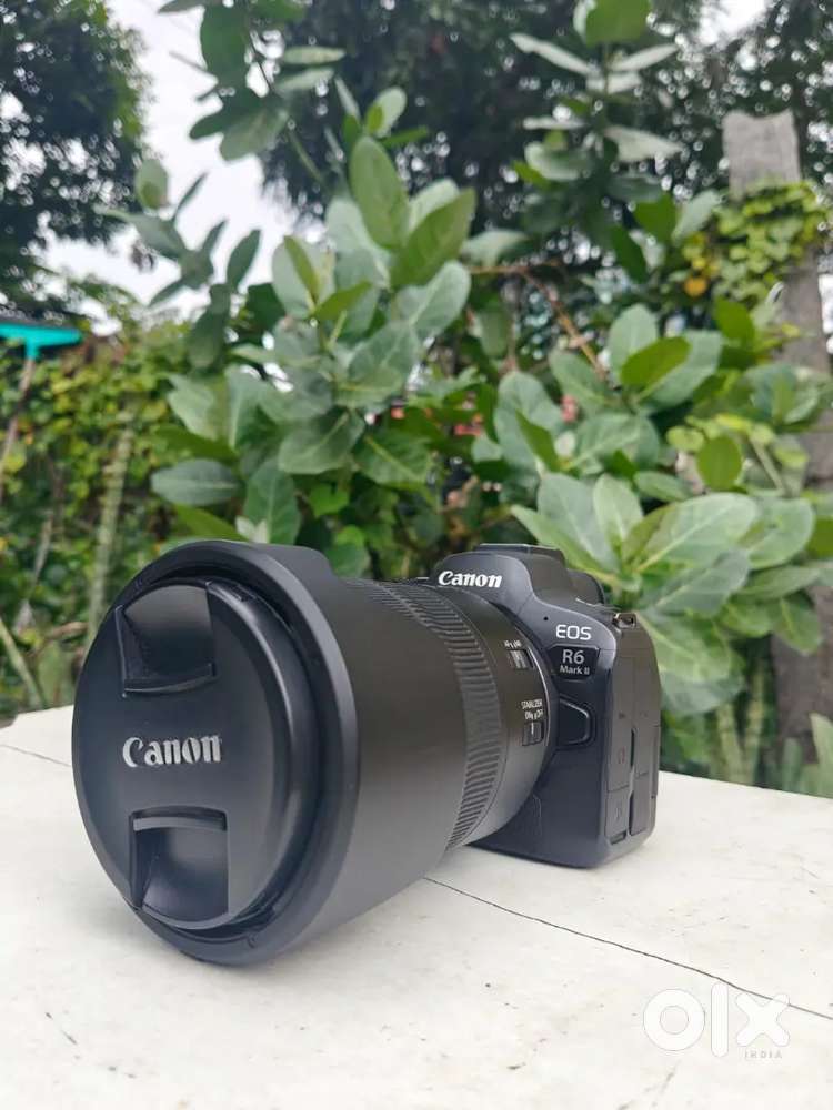 Canon r6 ii (body Only)