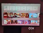 Mi 55 inck 4k tv slim with some display problem