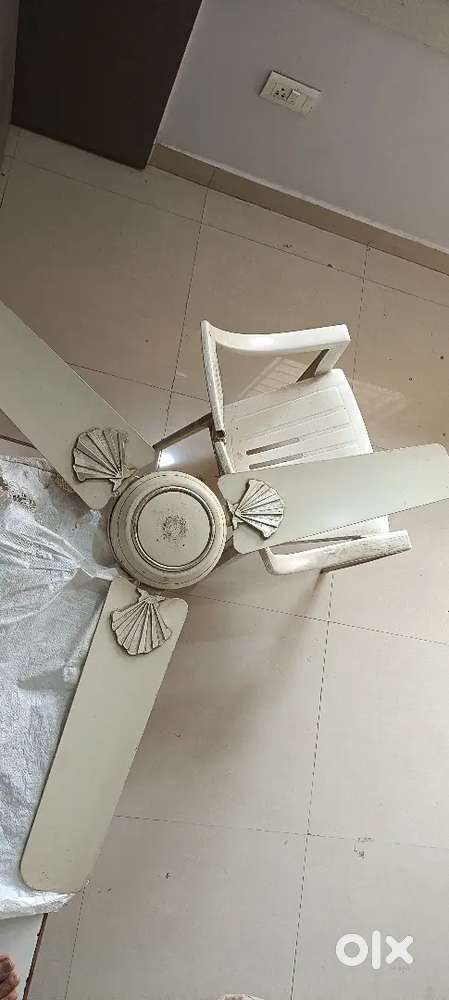 Fans good quality