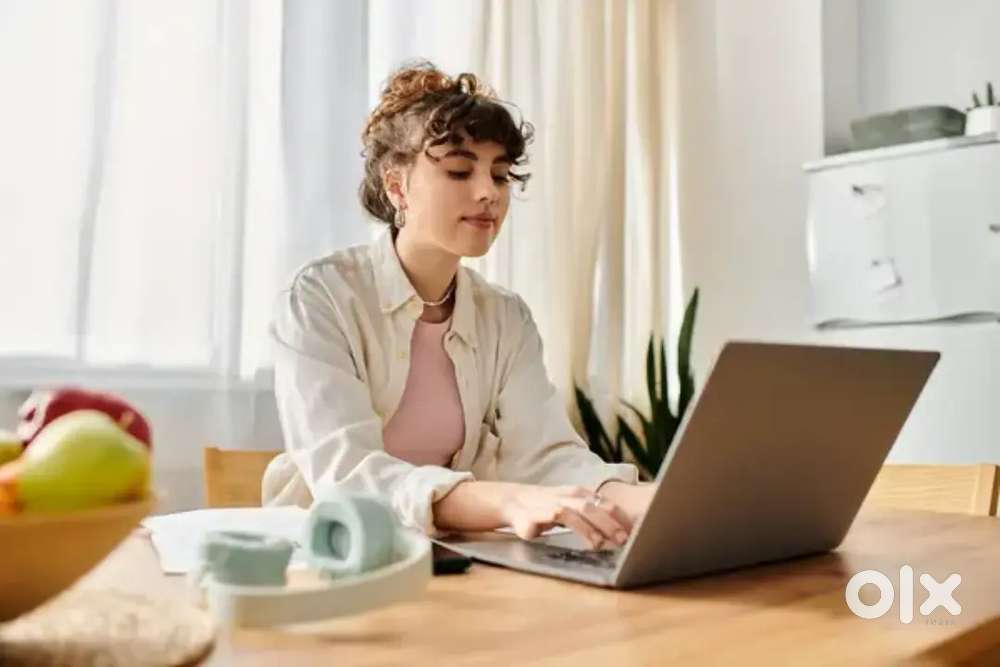 Learn And Earn  Data Entry Works