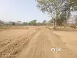 सारंगढ़ कोसीर रोड से लगा हुआ रक्शा में