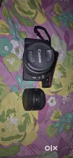 Canon R8 With Kit & Prime Lenses
