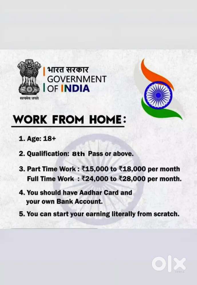 Work from home government project
