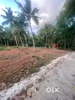 15 cent plot ( 3.75 lakhs/ cent) for sale near Poovar- parassala road