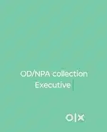 NPA Recovery Executive