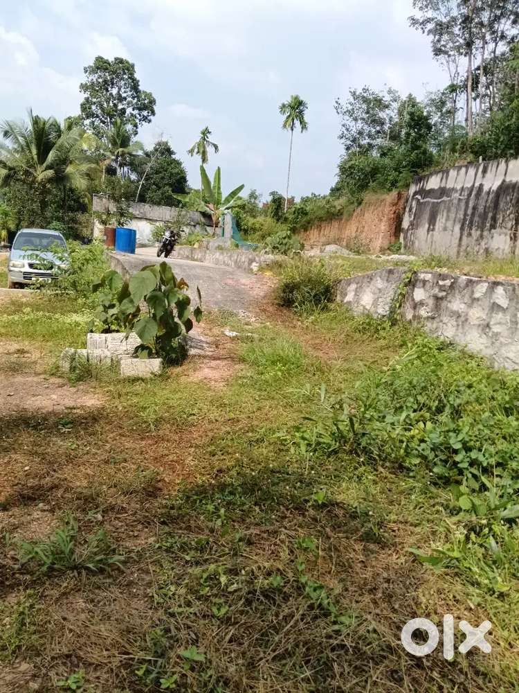 വീട് വയ്ക്കാൻ കരഭൂമി