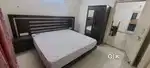 3bhk(2bhk+study) fully furnished luxury flat near lulumall medanta Lko