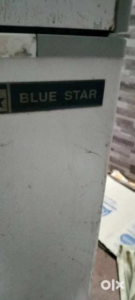 Blue star commercial use fridge