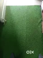 Artificial Grass(Carpet)80Sq Ft@3999/-
