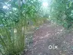 House plot for sale near Kanchiyar