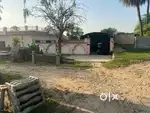 This property Rent on the samana higway