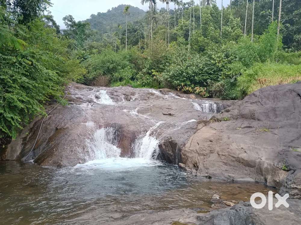 Farm house with 3BHK and 3 acre resort land