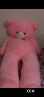 Teddy bear