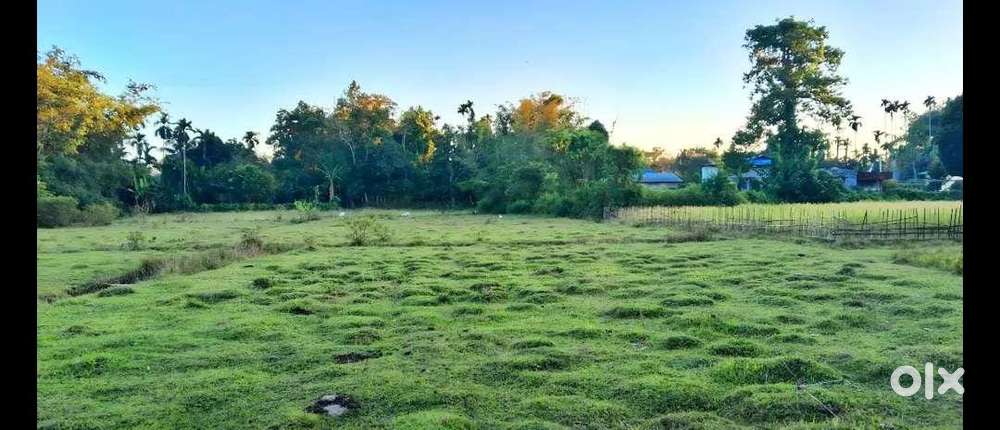 5 kotha land for sale in Borpool,Jorhat Per kotha-2200000