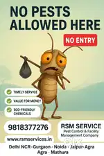 Termit control services start from 999