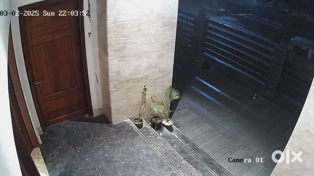 Wanted a full time male dog caretaker for a residential home