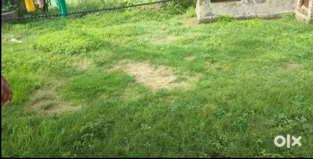 15 marla house for sale in sojana near ring road .urgnt sale