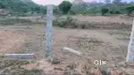 10 Acre Land for Sale at 1.25 Crore per Acre