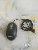Basic working Ranz mouse