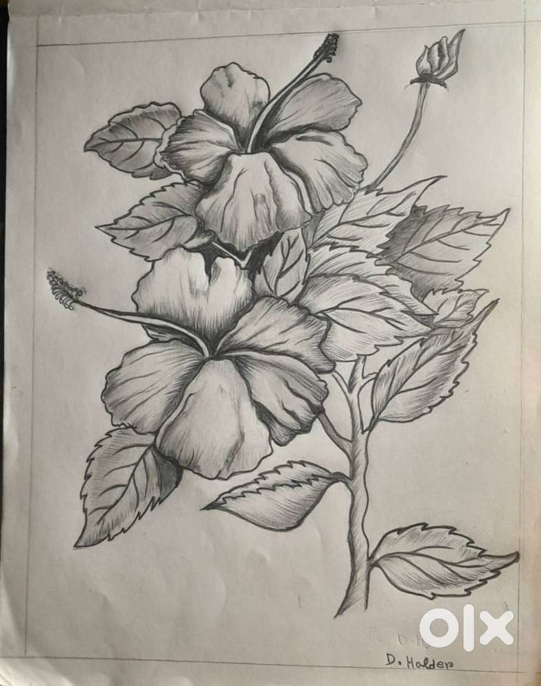 Professional Painting & Sketching Classes By Debabrata Halder