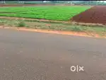 Land / Agriculture land