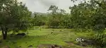 2.25 Acre Land