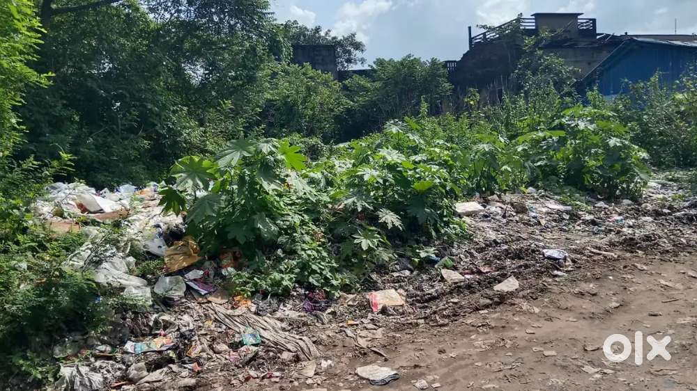 Total area 33 kattha price 28 lack rupya par kattha