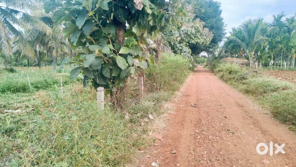 1acre land with beautiful persian style architecture near mysore