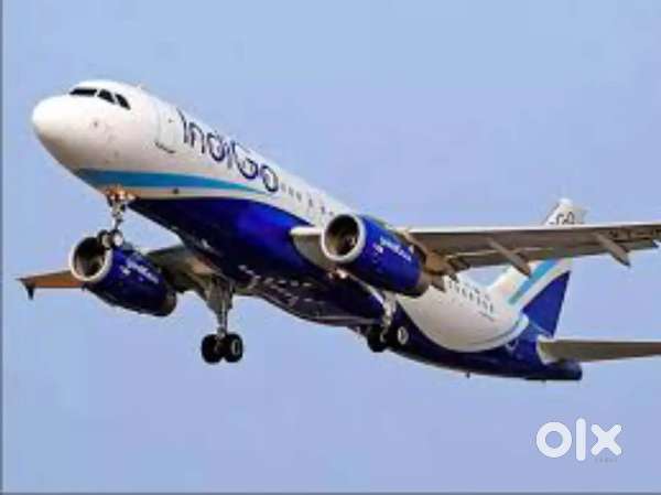 Indigo Airlines Job/Vacancy For Ground Staff/ticket checker/Cabin crew