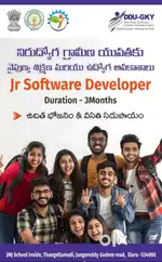 JUNIOR SOFTWARE DEVELOPER