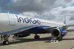 Hiring Candidates in Airport Driver and Ground Staff Jobs.