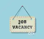 Typing Work Available