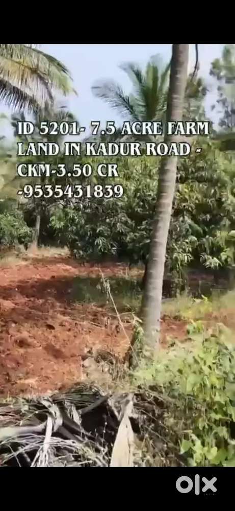 7.5acres farmland for sale near sakaraypatna kadur chikkamagaluru