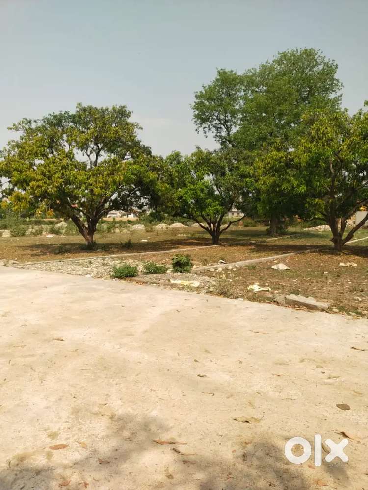 Plot for sale