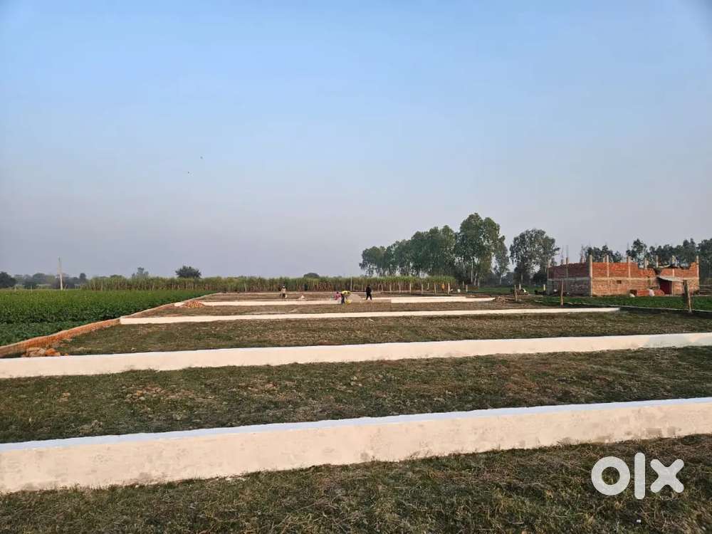 Best location Mohabra bazar