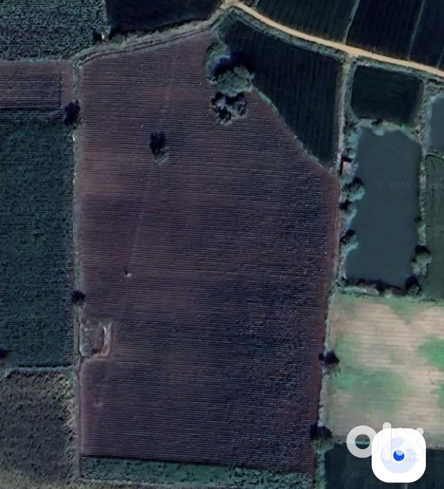 Away from bellary 20 kms    siruguppa road