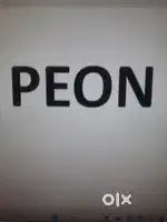Need a Peon for Office