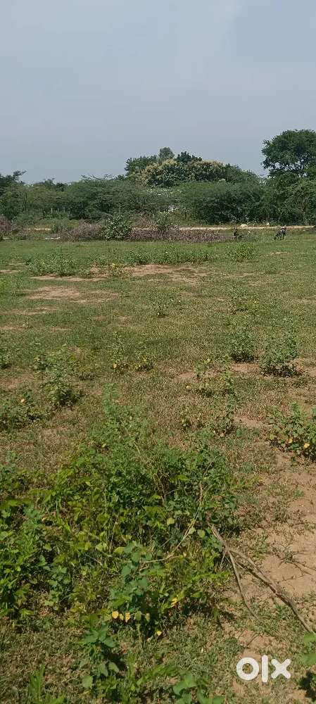 PRC COLLEGE NEAR BY PLOT FOR SALE , Blossom school Near Plot for sale