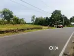 15 to 30 Cent Perumbavoor Kuruppumpady Bus Route Frontage Land