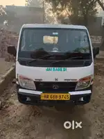 2019 model hai