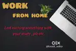 Online work (WORK FROM HOME)