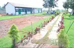 Organic Farm Land for sale just 349/-  persqft Call and Whatsapp