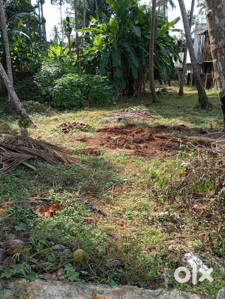 17 cent plot for sale near  chenoth school beypore,kerala,India