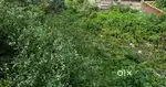 7 biswa plot drive in near kaleen ground 
Near sunny side parking