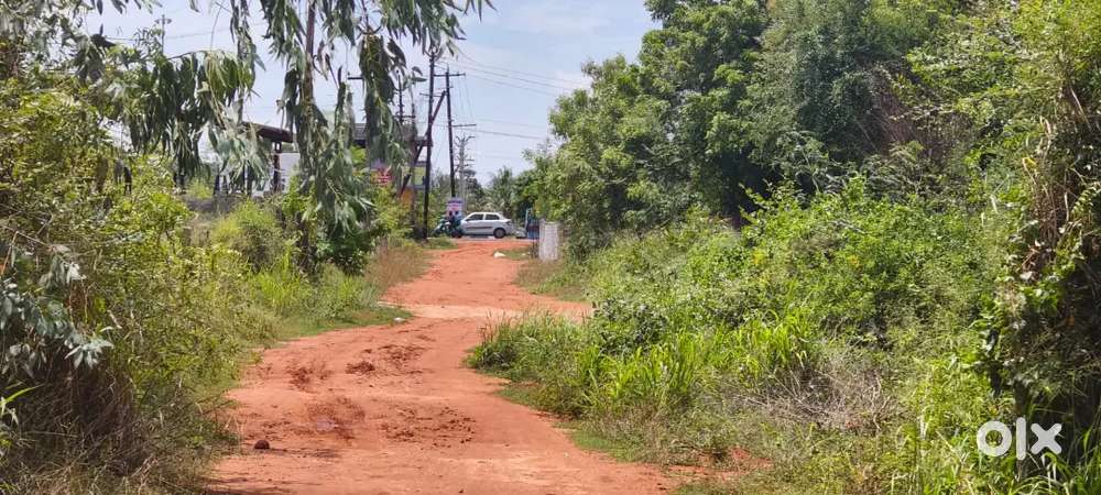 Urgent sale நாஞ்சிக்கோட்டை சூரியம்பட்டி பிளாட்