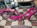 Easy Rider bicycle