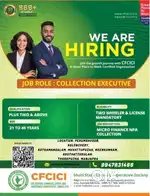 COLLECTION EXECUTIVE