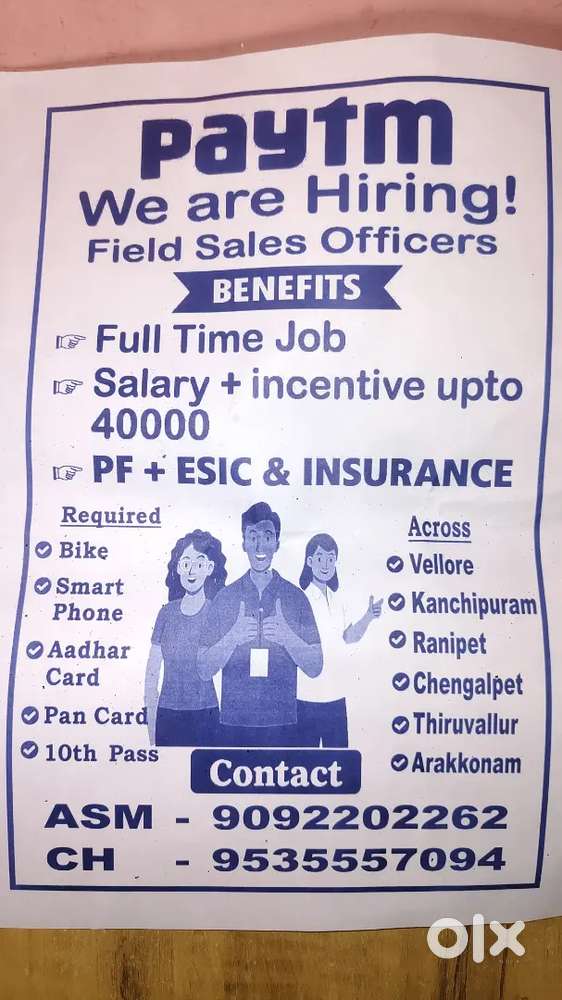 Felid sales executive