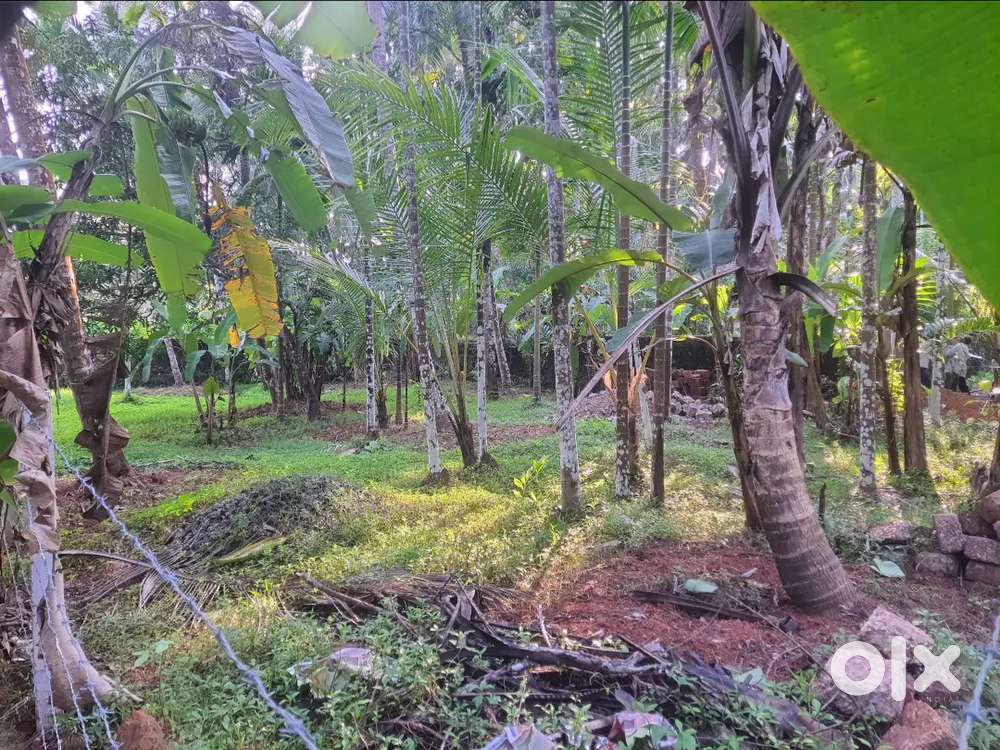 10 cents residential plot for sale at Ovupalam Meppayil, Vadakara