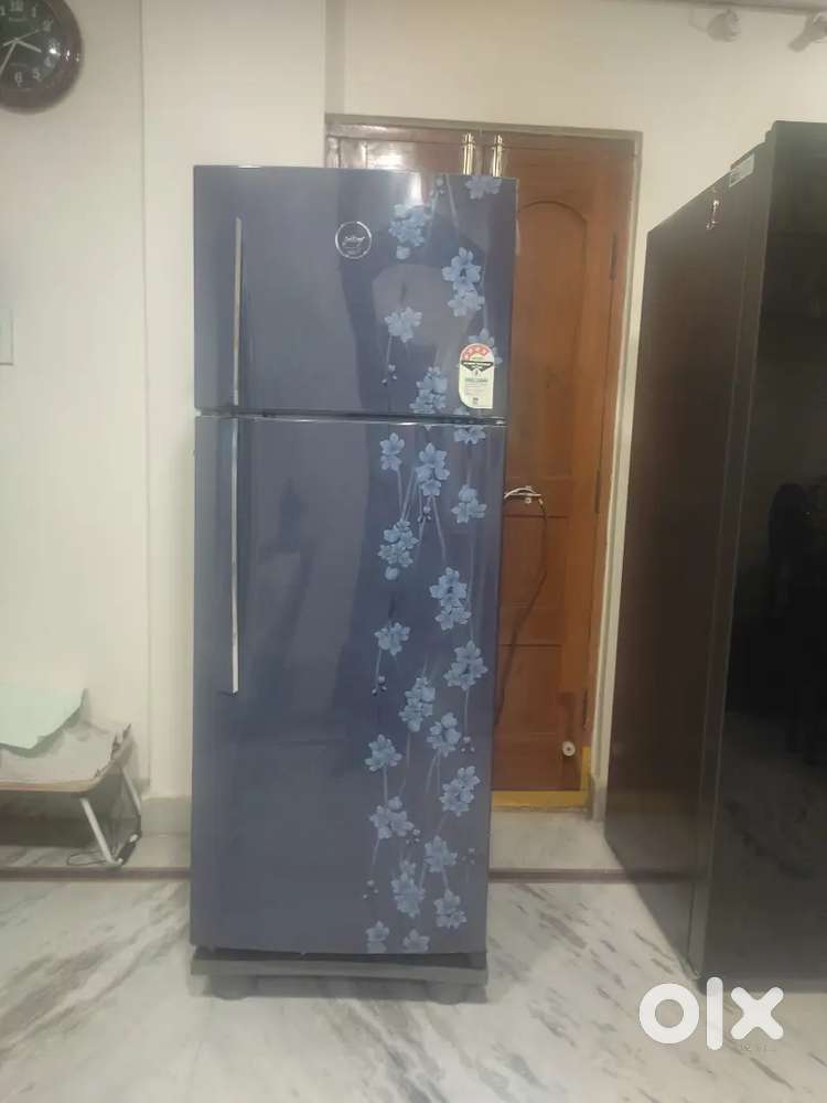 Godrej duble door